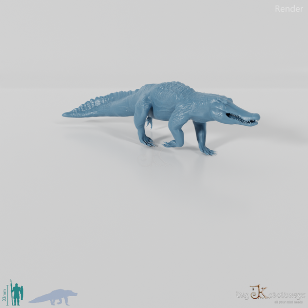 Quinkana fortirostrum 06 - JJP