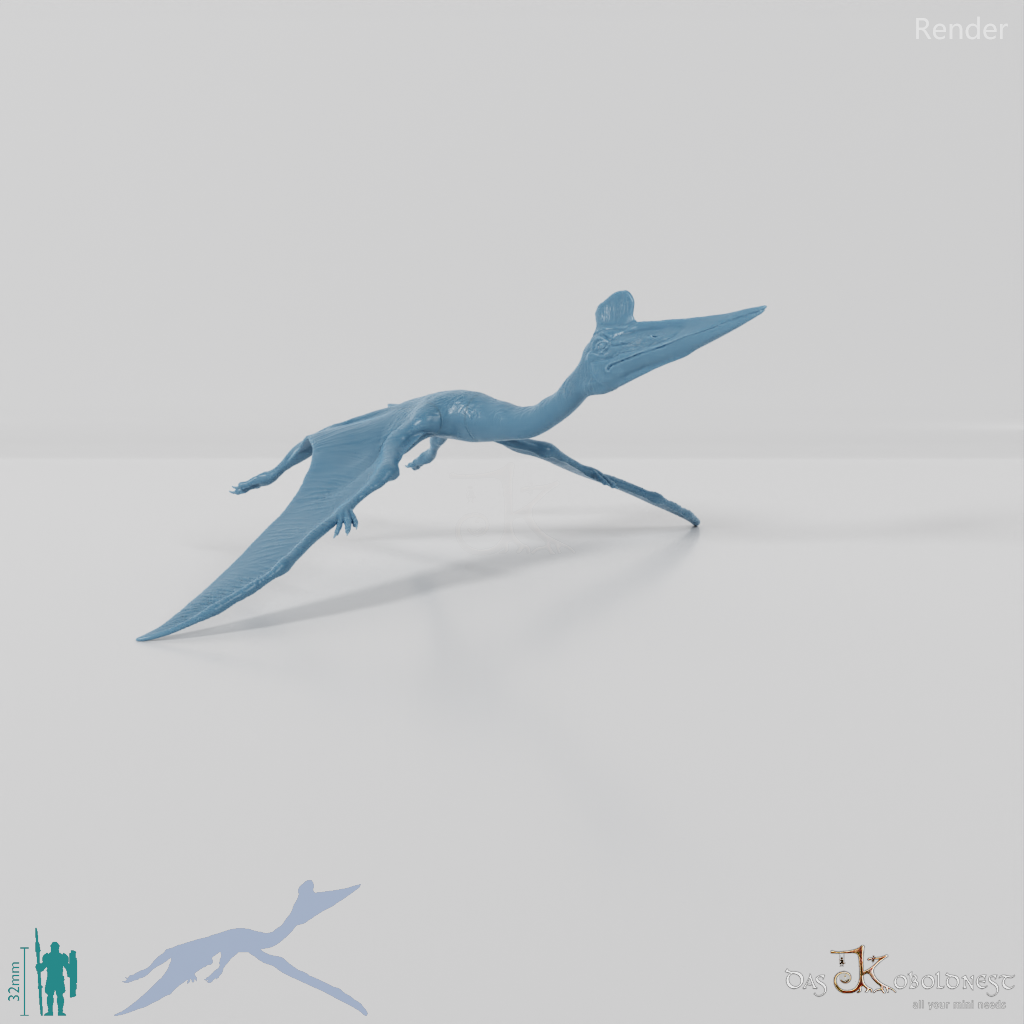 Quetzalcoatlus northropi 06 - JJP