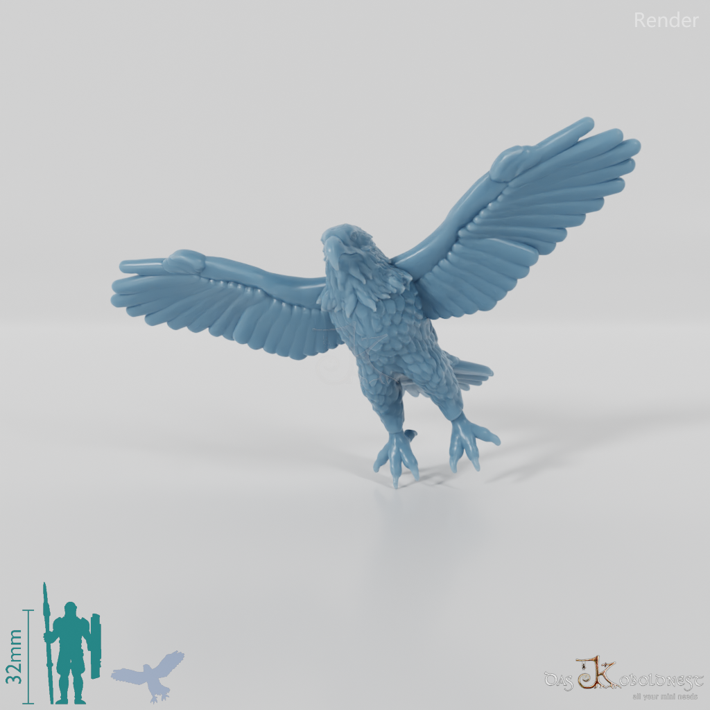 Bird of prey - bald eagle 01
