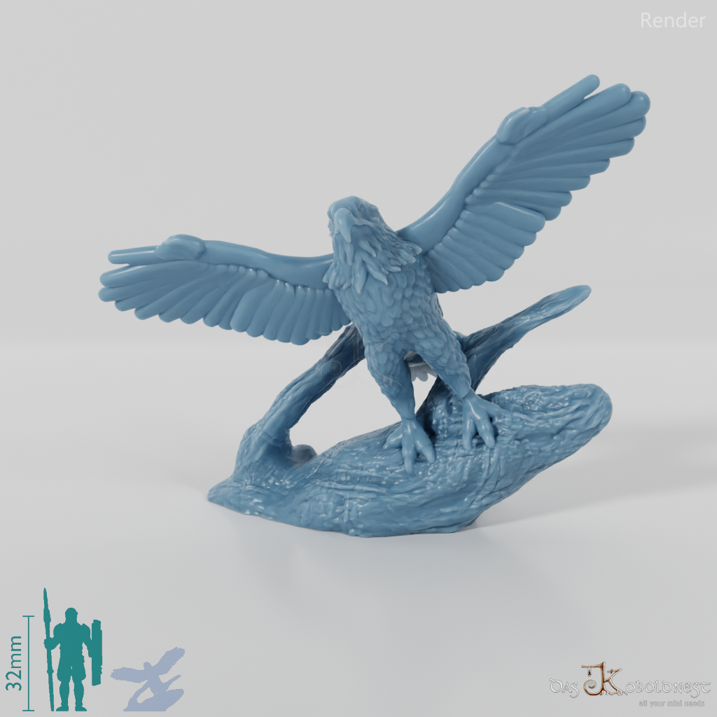 Raubvogel - Weißkopfseeadler 01