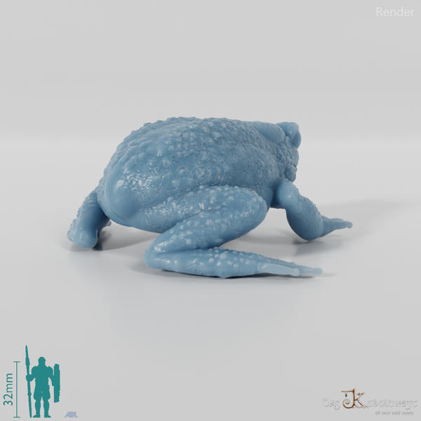 Toad - Waiting Toad 01