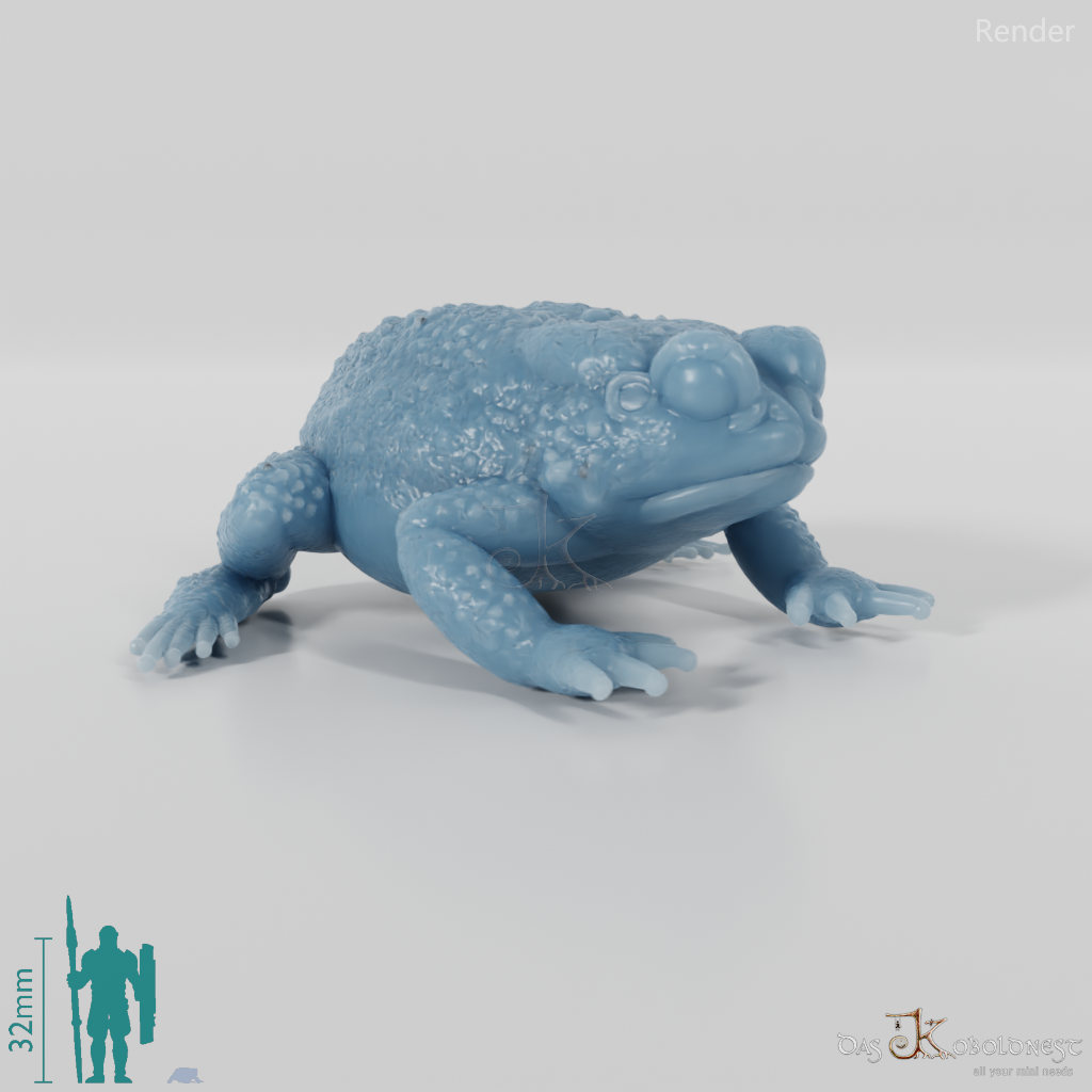 Toad - Waiting Toad 01