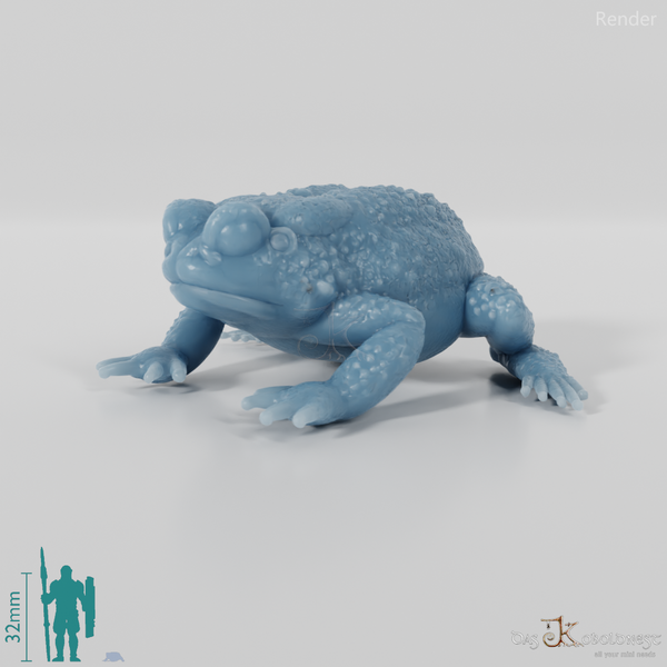 Toad - Waiting Toad 01