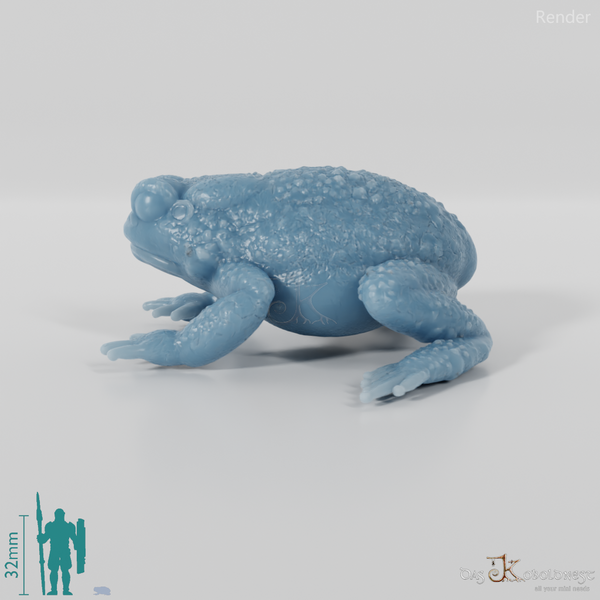 Toad - Waiting Toad 01