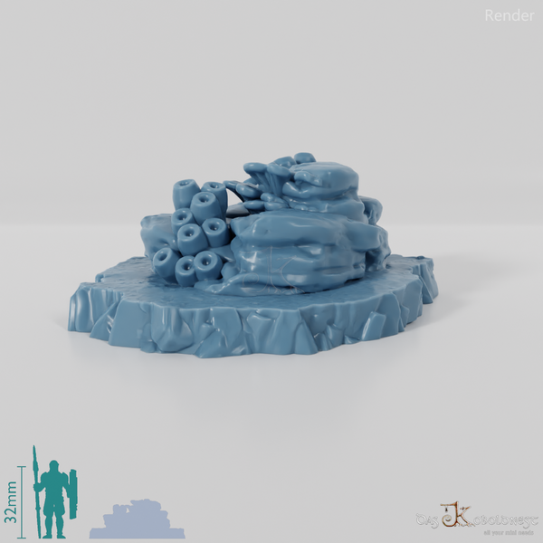 Korallenbewachsene Felsen