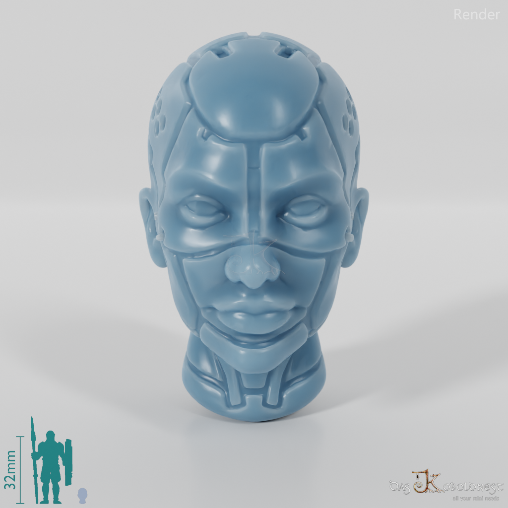 Woman's Head - SciFi Android