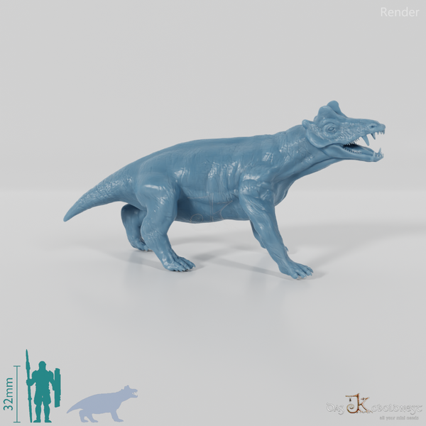 Styracocephalus platyrhynchus 02 - JJP