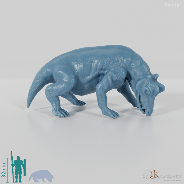 Styracocephalus platyrhynchus 03 - JJP