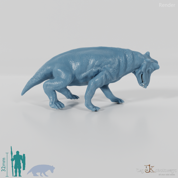 Styracocephalus platyrhynchus 05 - JJP