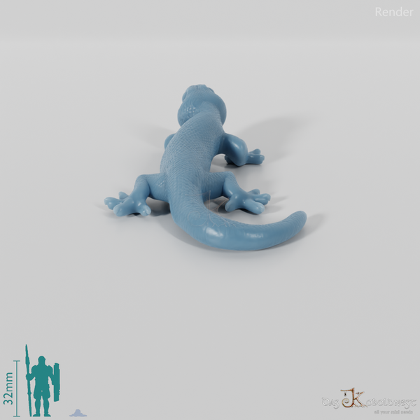 Amphibian - Salamander 01