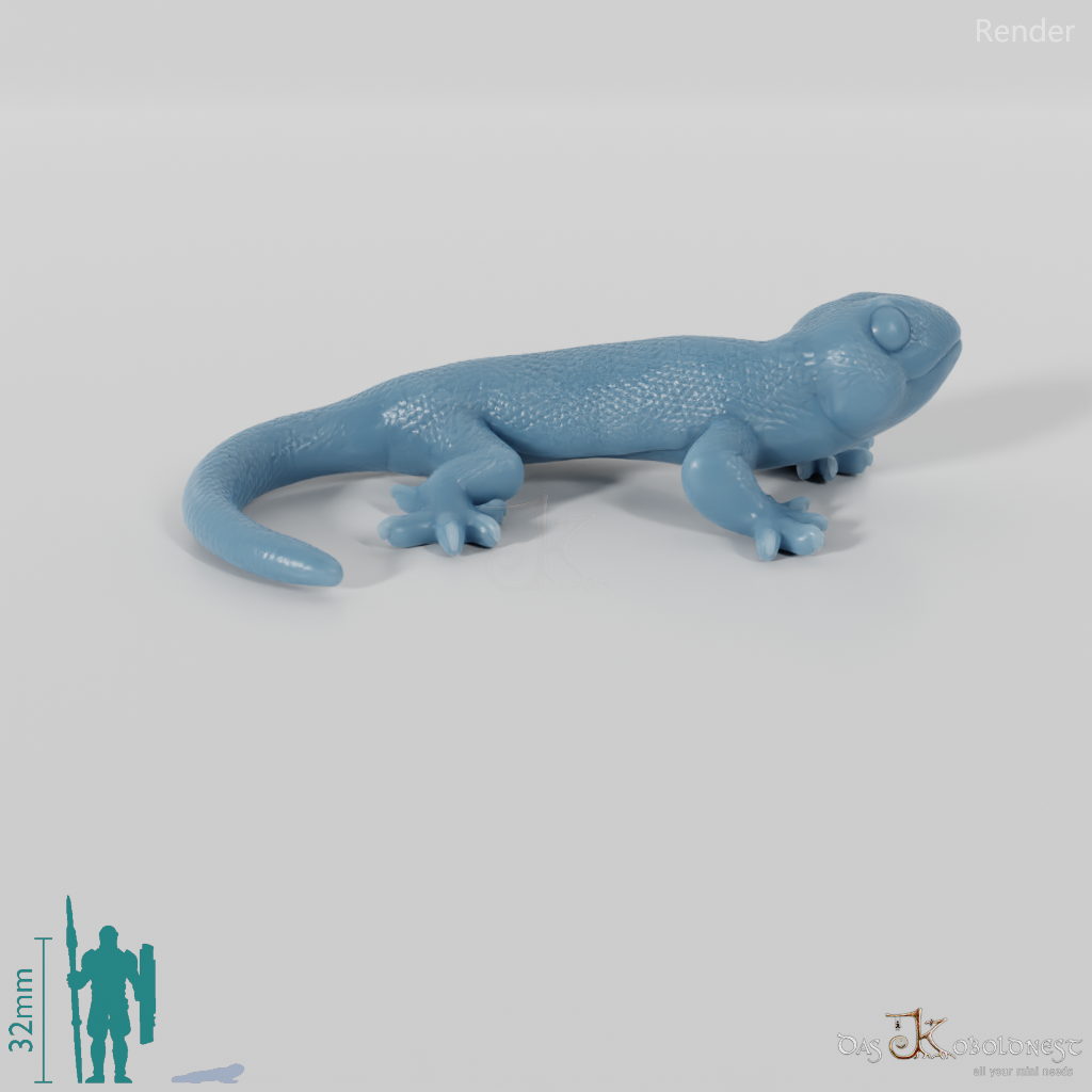 Amphibie - Salamander 01