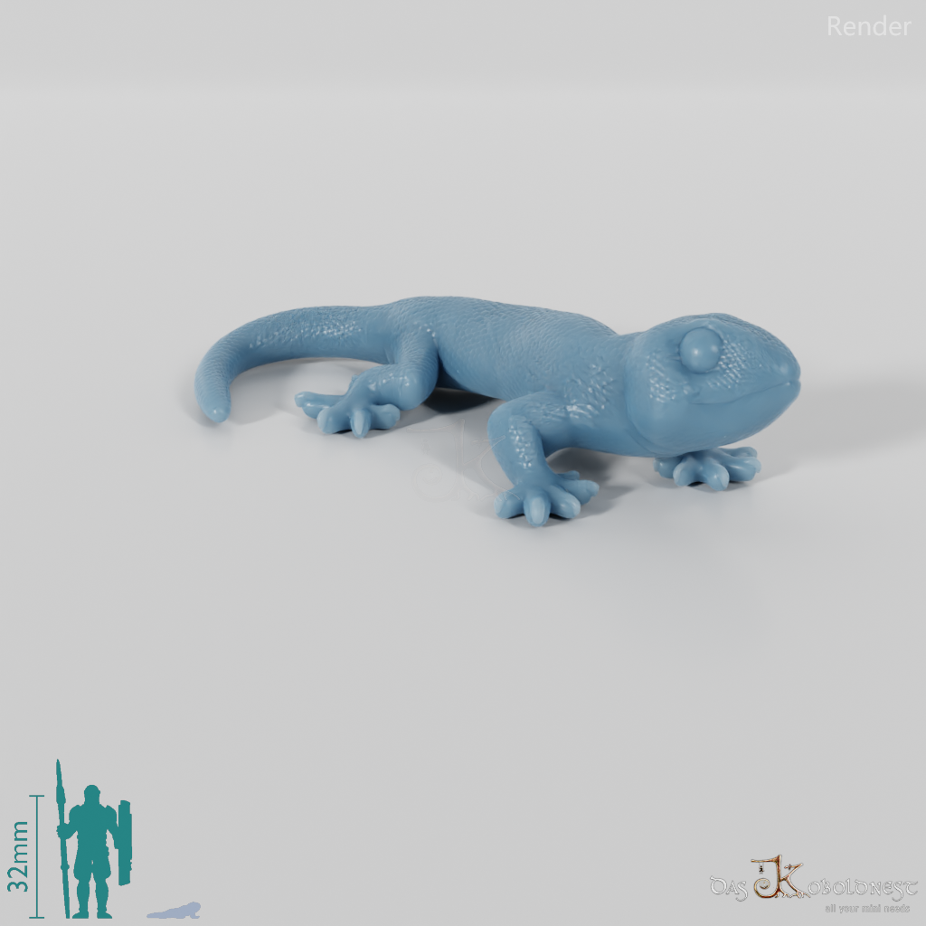 Amphibian - Salamander 01