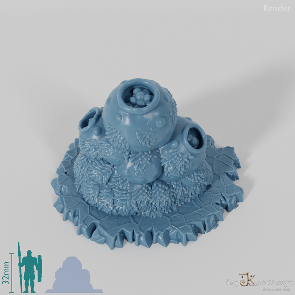 Bulbous spore mushrooms