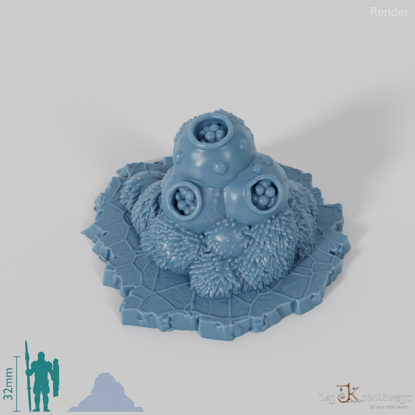 Bulbous spore mushrooms