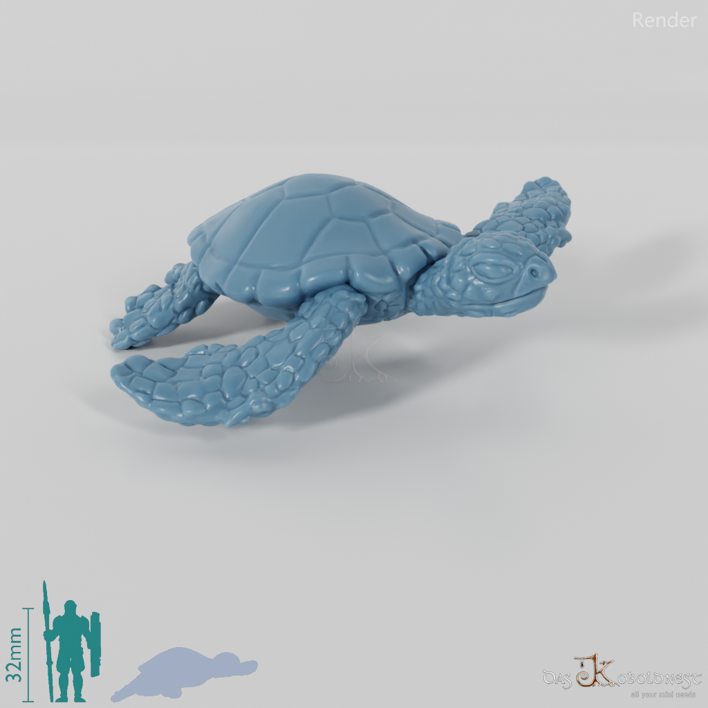 Schildkröte - Große Meeresschildkröte