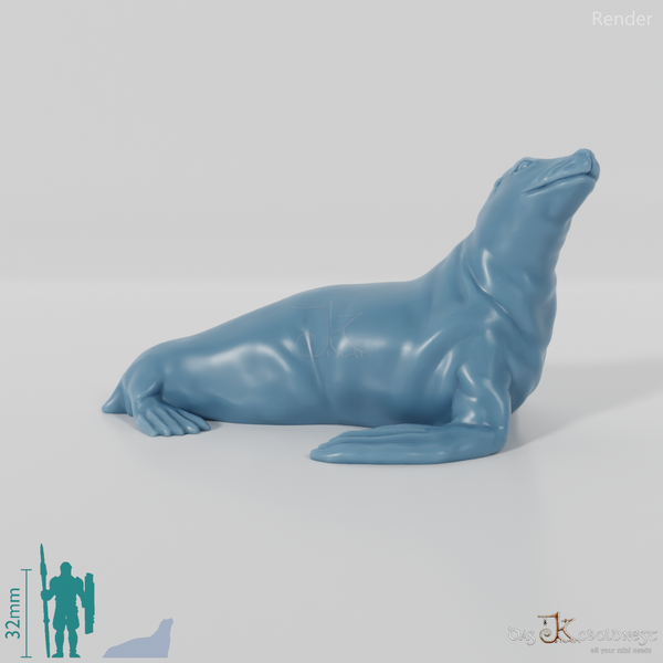 Robbe - Sealing sea lion