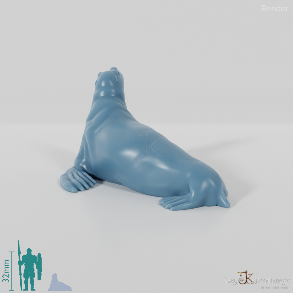 Robbe - Sealing sea lion