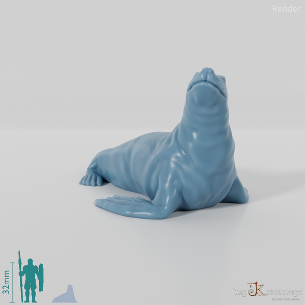 Robbe - Sealing sea lion