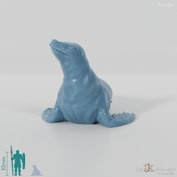 Robbe - Sealing sea lion