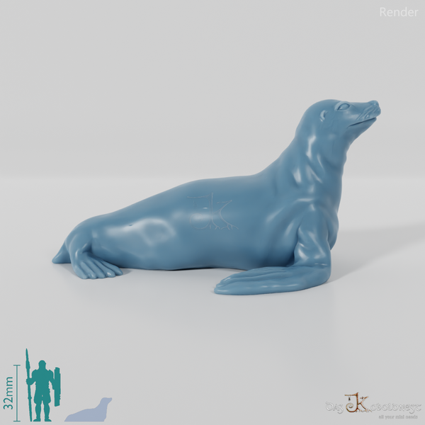 Robbe - Sealing sea lion