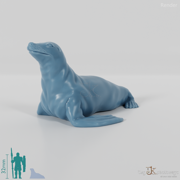 Robbe - Sealing sea lion