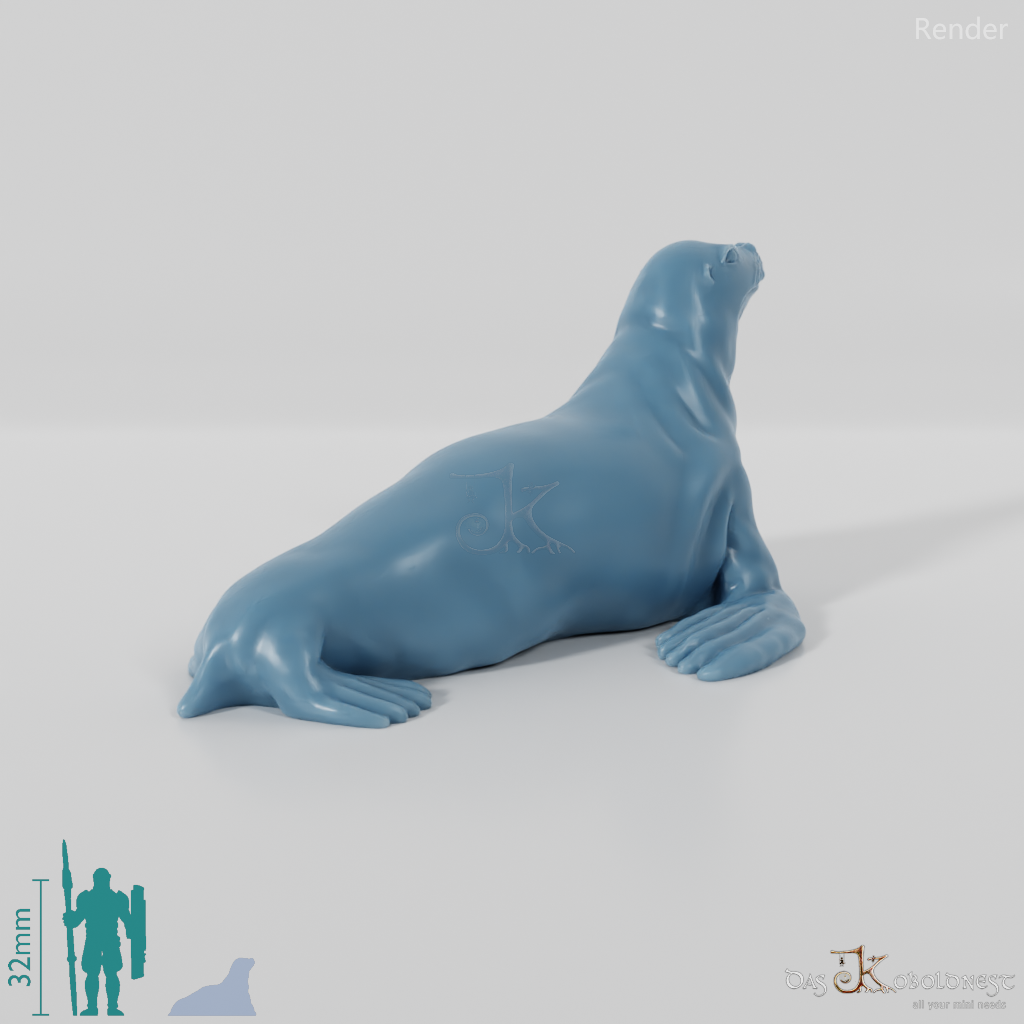 Robbe - Sealing sea lion