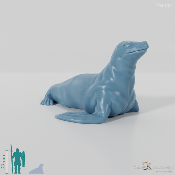 Robbe - Sealing sea lion