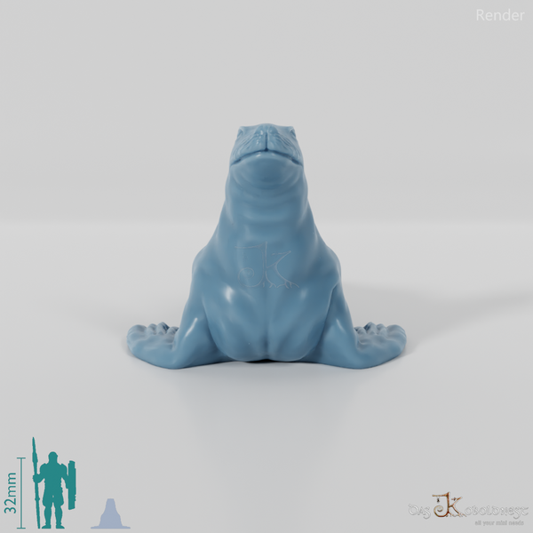 Robbe - Sealing sea lion