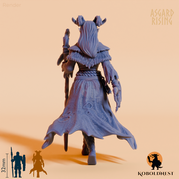 Schattenelf-Druidin