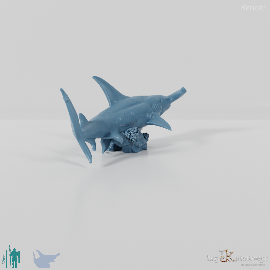 Shark - Hammerhead Shark 02