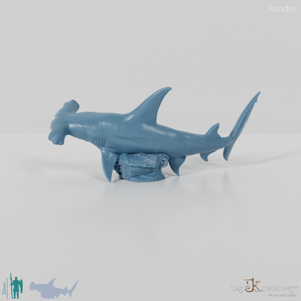 Hai - Hammerhai 02
