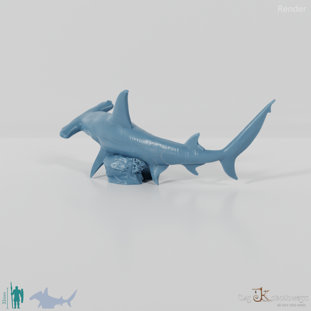 Shark - Hammerhead Shark 02