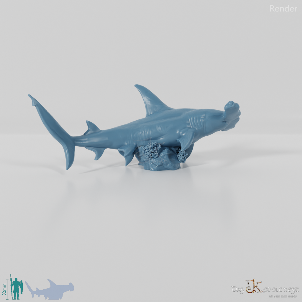 Shark - Hammerhead Shark 02