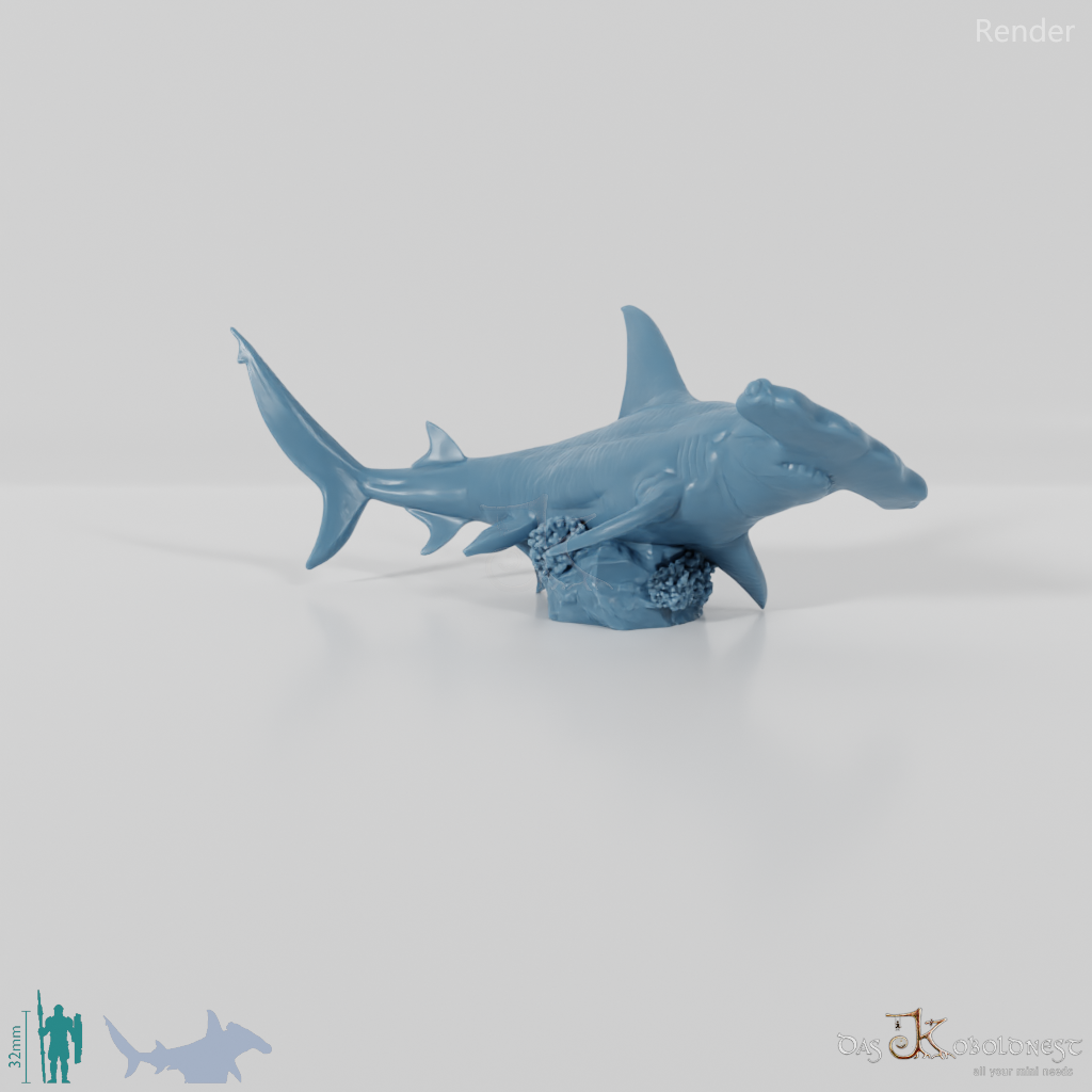 Shark - Hammerhead Shark 02