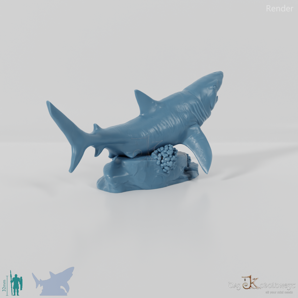 Hai - Weißer Hai 01