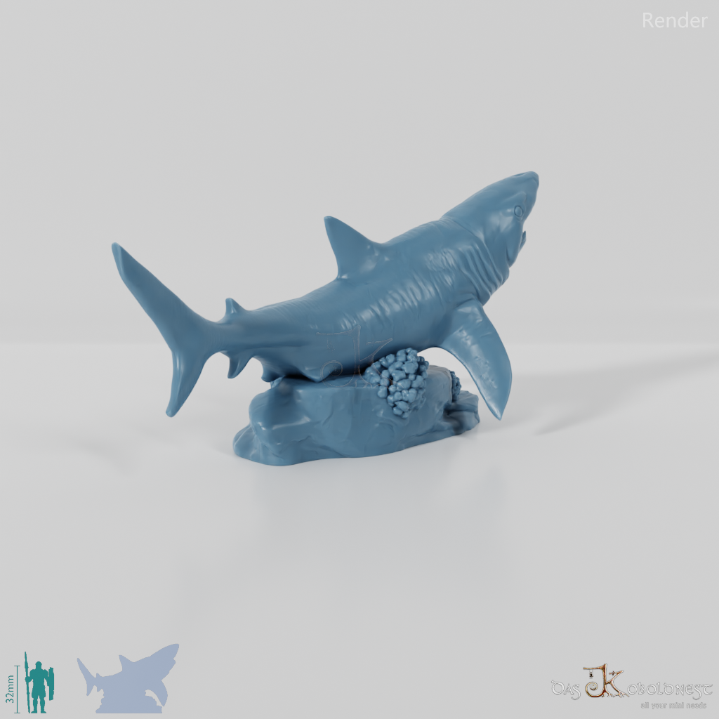 Shark - Great White Shark 01