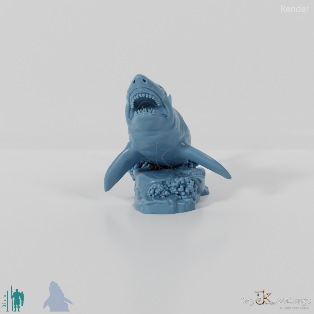 Shark - Great White Shark 01