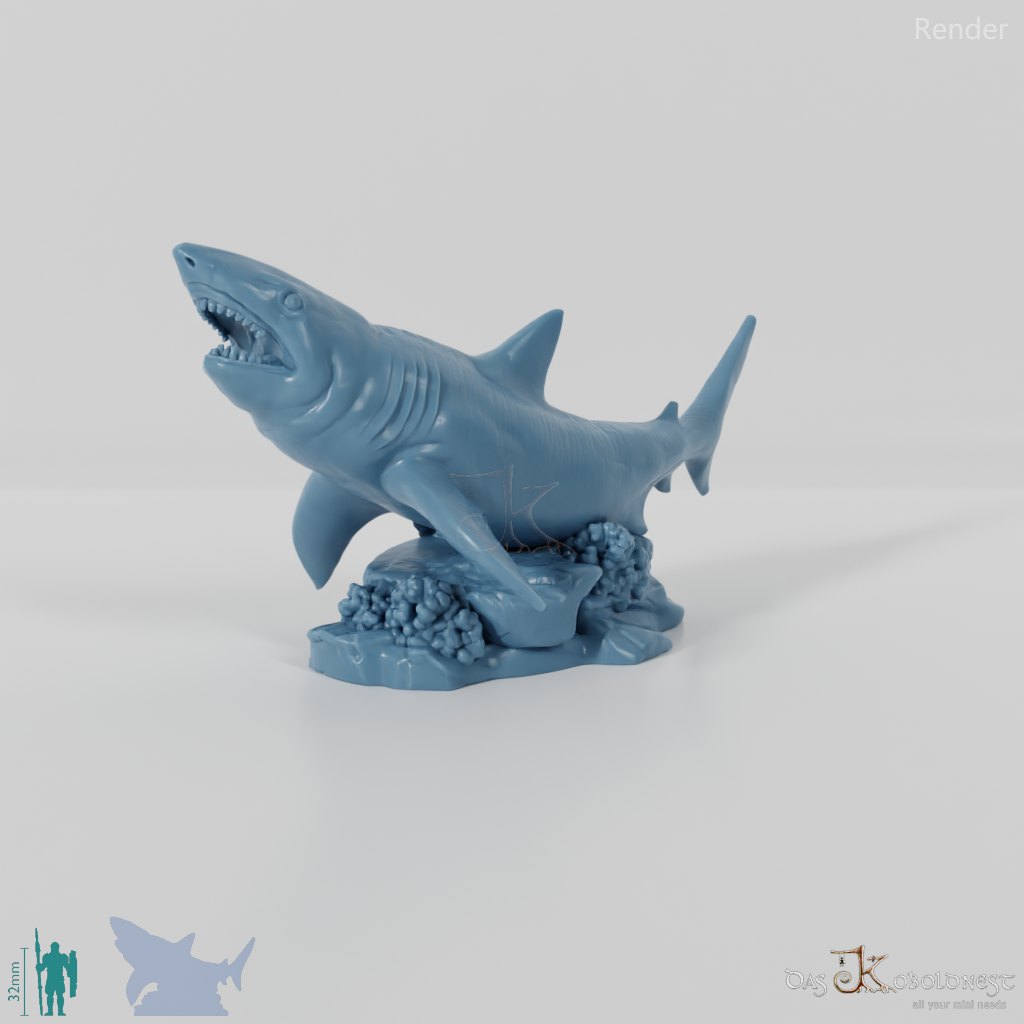 Shark - Great White Shark 01