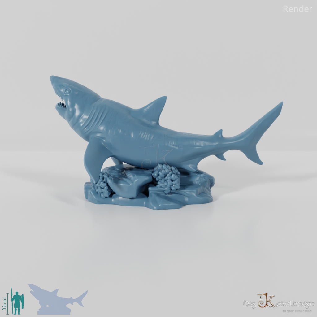 Shark - Great White Shark 01