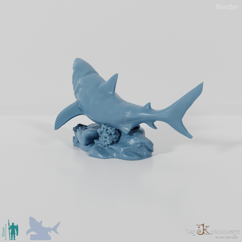 Shark - Great White Shark 01