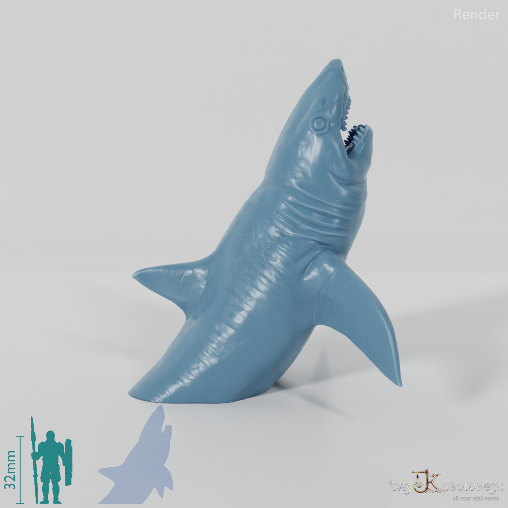 Shark - Great White Shark 02
