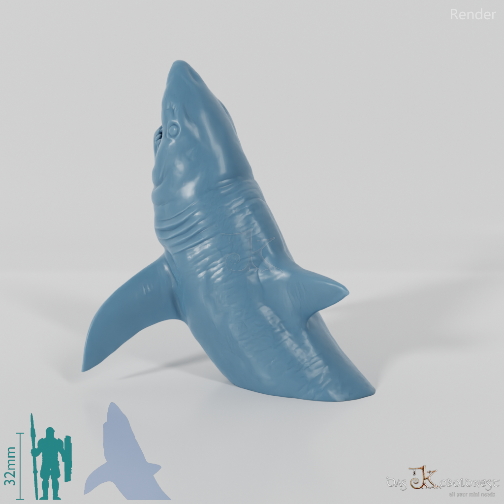 Hai - Weißer Hai 02
