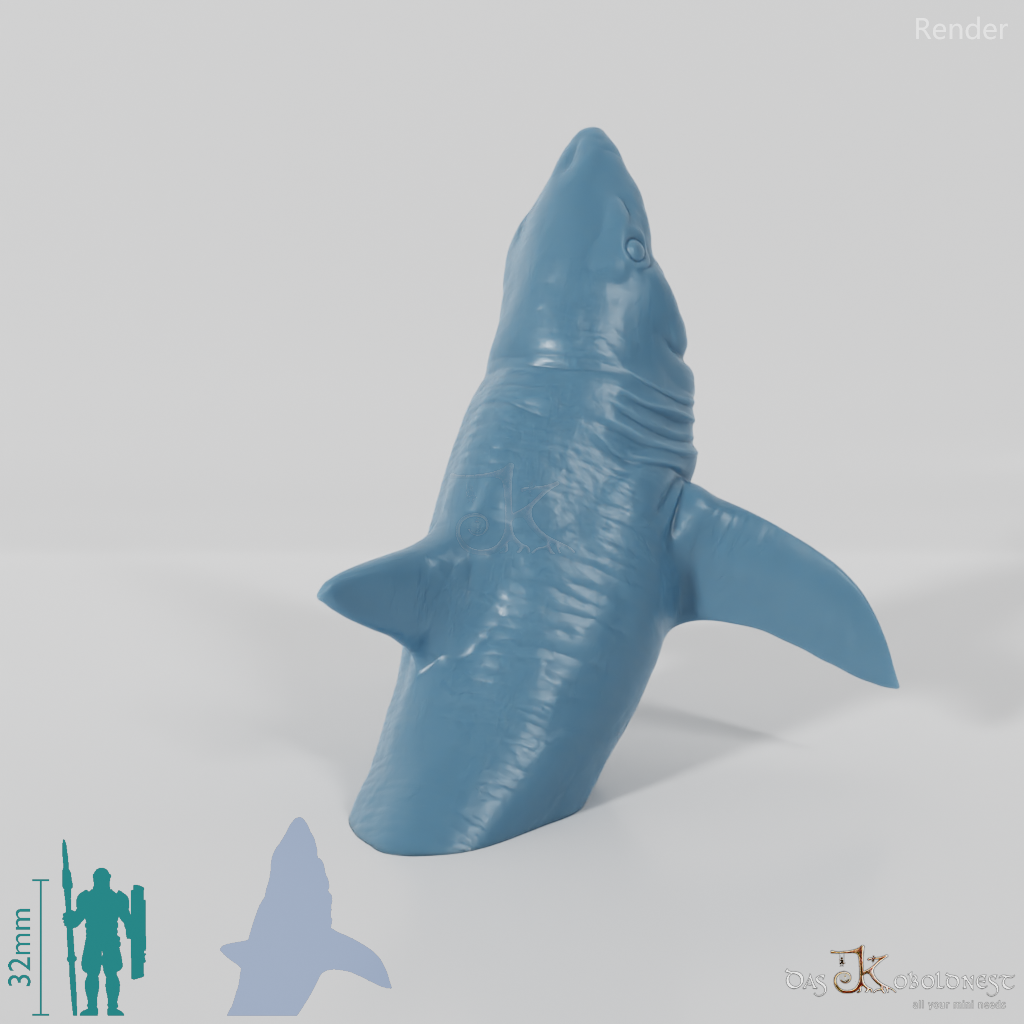 Shark - Great White Shark 02