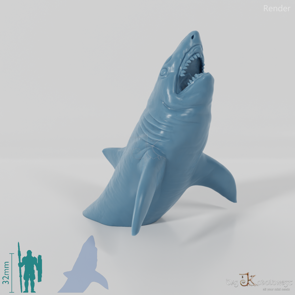 Hai - Weißer Hai 02