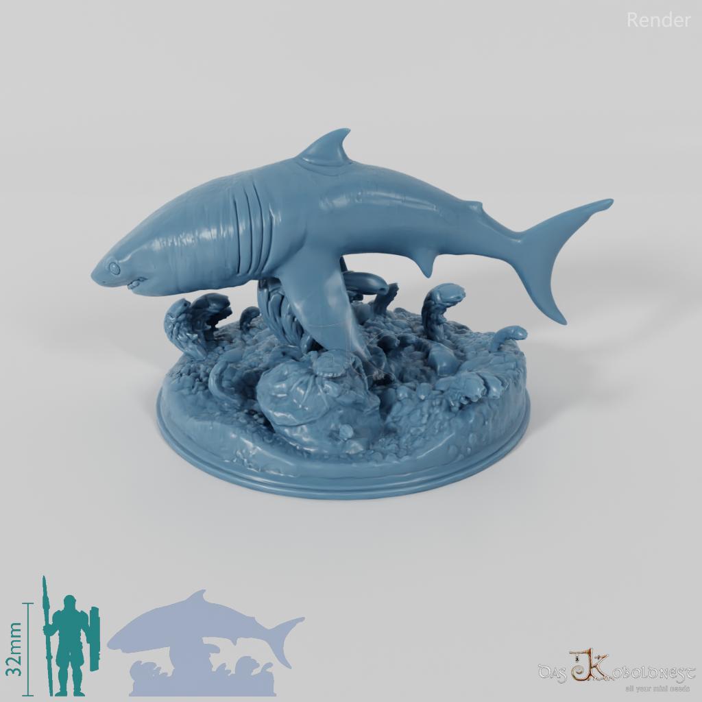Shark - Great White Shark 01