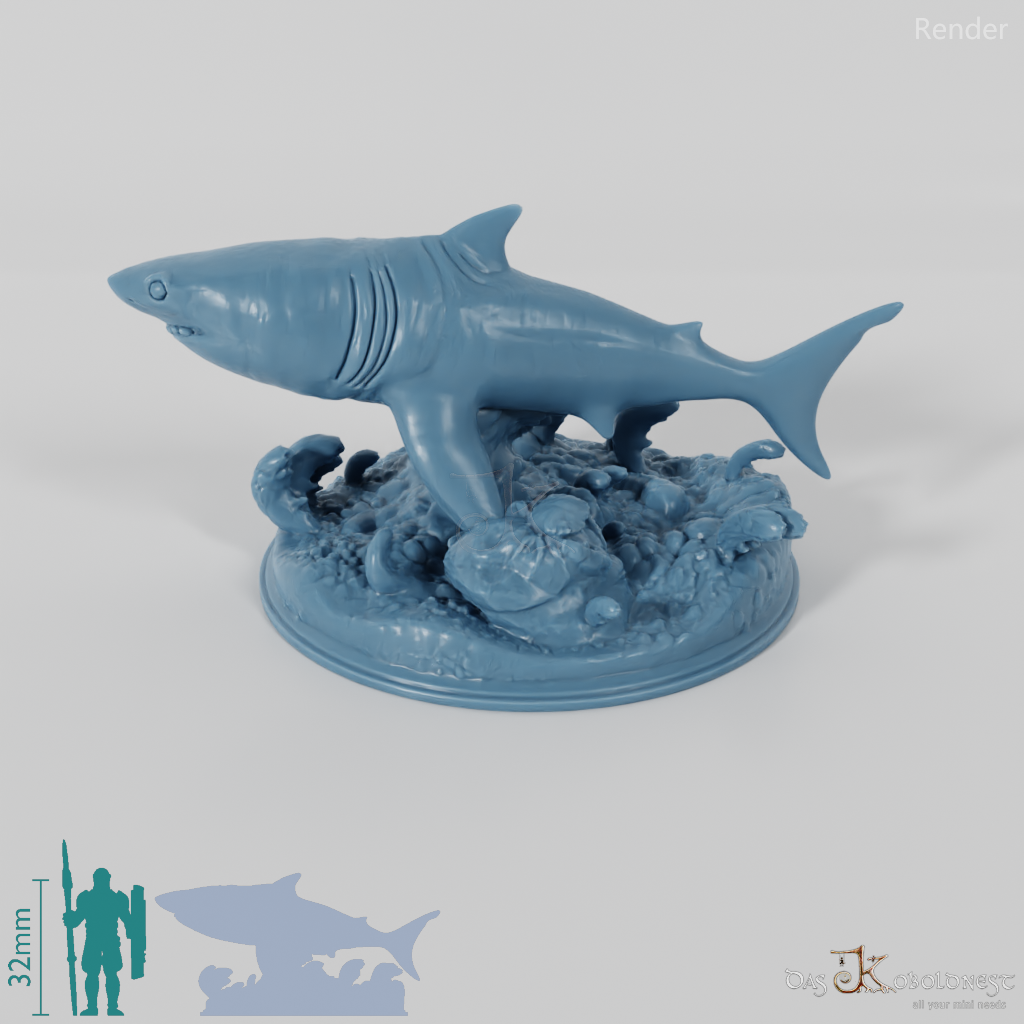 Shark - Great White Shark 02