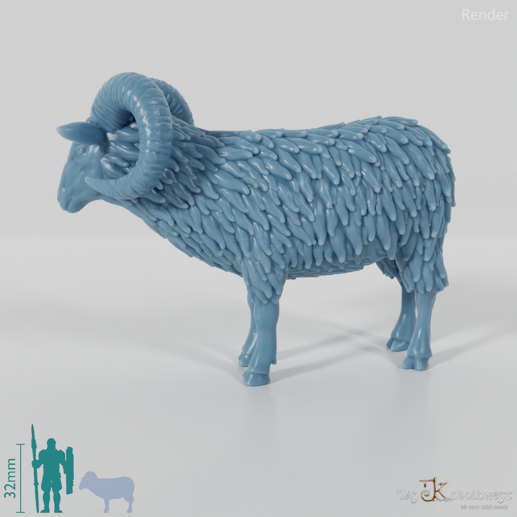 Sheep - Mouflon 01