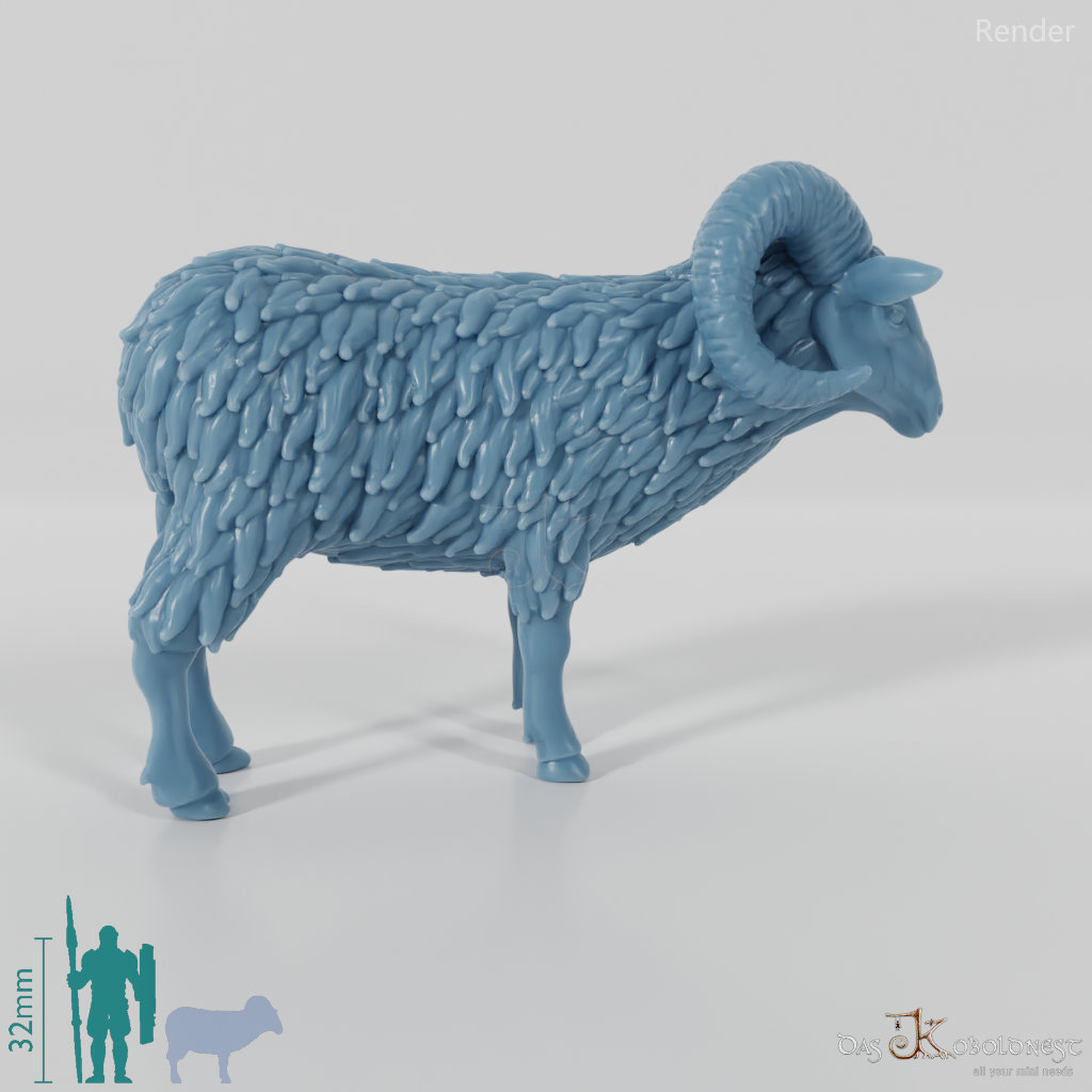 Sheep - Mouflon 01