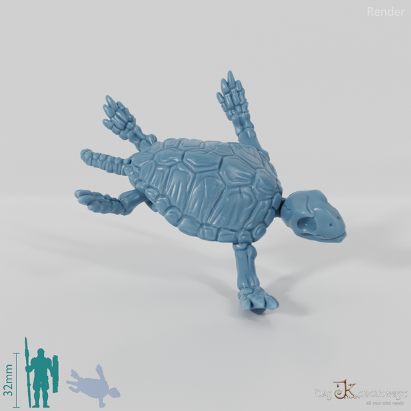 Turtle - Skeleton Sea Turtle 02