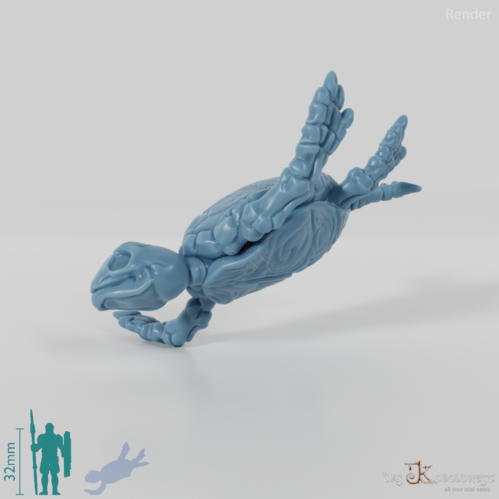 Schildkröte - Skelett-Meeresschildkröte 02